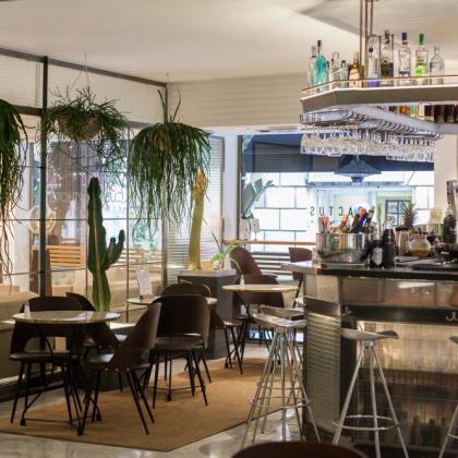 Cactus bar
